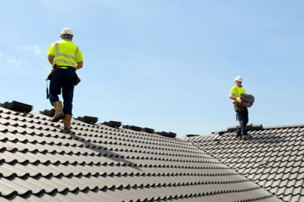 Professional Roof Cleaning Service