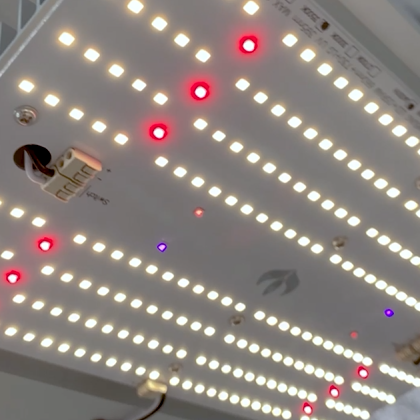 LED Grow Light 